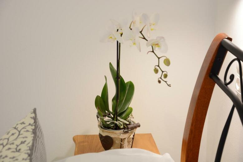 Hostal Malom-t� Guest House Tapolca