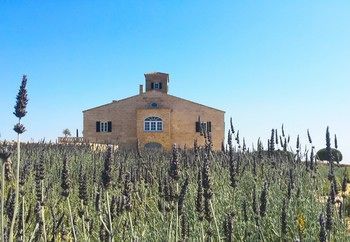 Agroturismo Cug� Gran