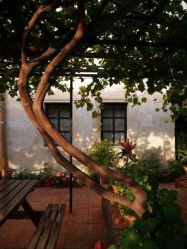 Bed & Breakfast Urgup Inn Cave Hotel
