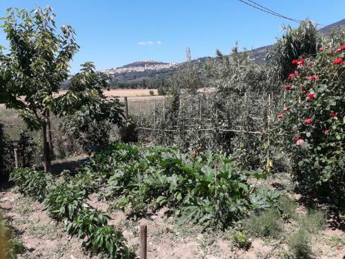Apartamento Sulla Strada Di San Francesco