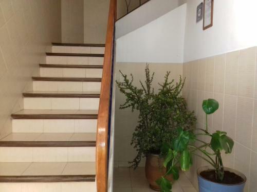Apartamento R�sidence La Galiote