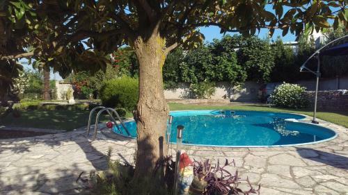 Leisure House Jovovic