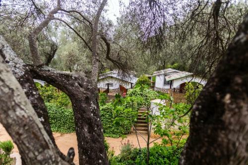 Apartamentos Raj Mira