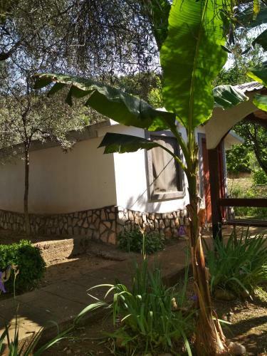 Apartamentos Raj Mira