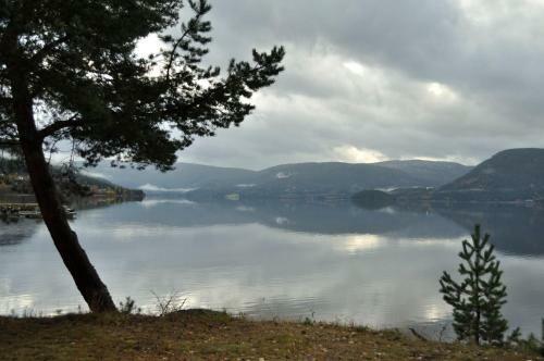 Fyresdal Bed And Breakfast