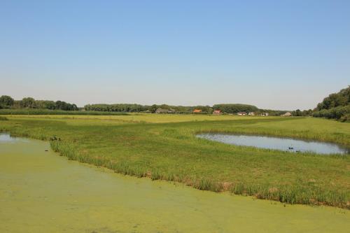 Vakantiepark Delftse Hout
