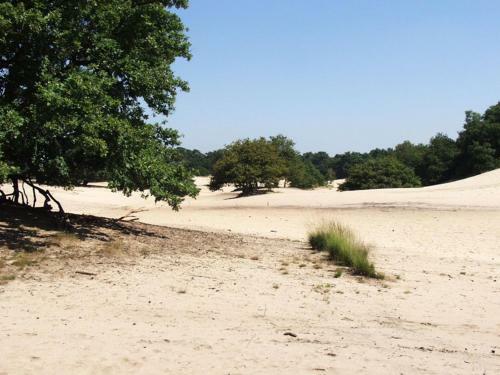 Agroturismo De Distelhoeve