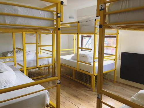 Albergue Belfast City Backpackers