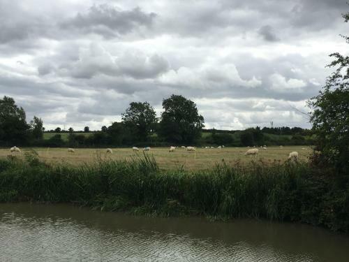 Rew Farm Country & Equestrian Accommodation