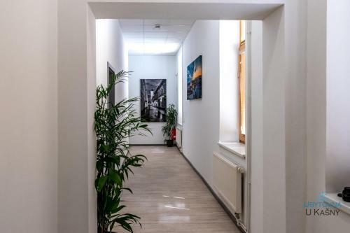 Albergue Ubytovna U Ka?ny