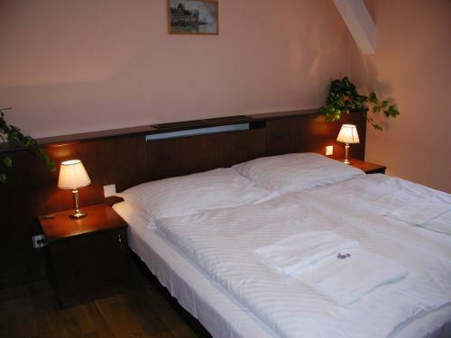 Hotel Z�mek Hav�?ov