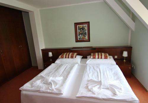 Hotel Z�mek Hav�?ov