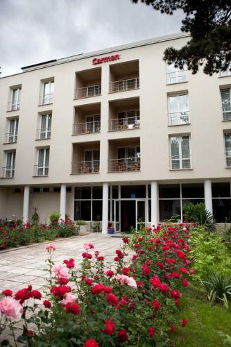 Hotel Carmen