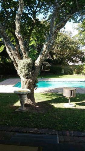 Hostal Falcon Crest Self Catering Cottages