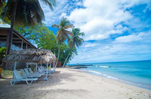 Tropikist Beach Hotel And Resort