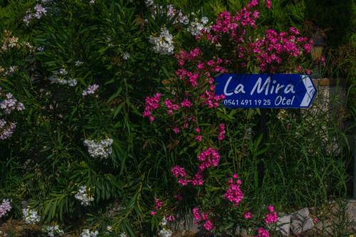 Hostal La Mira Ala�at?