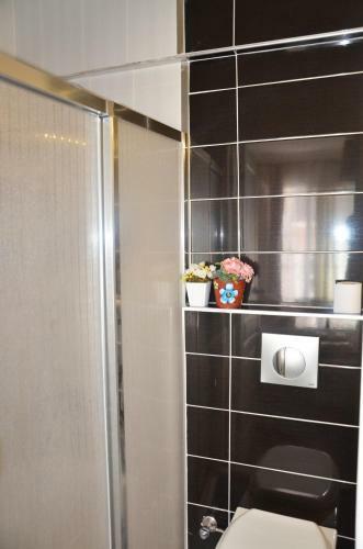 Rooster Hostel