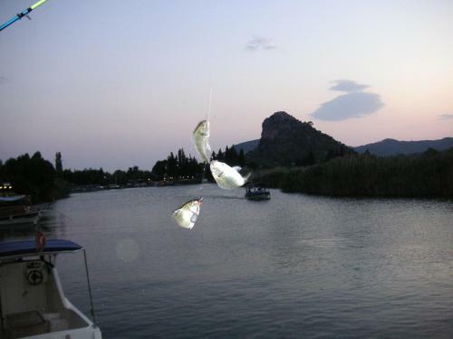 Agroturismo Onder Pansiyon