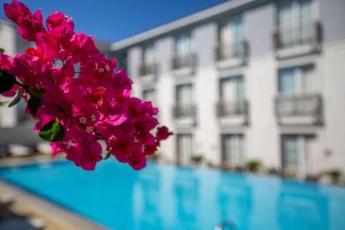 Hotel Alalucca- Adult Only