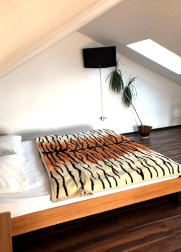 Robinzon Hotel