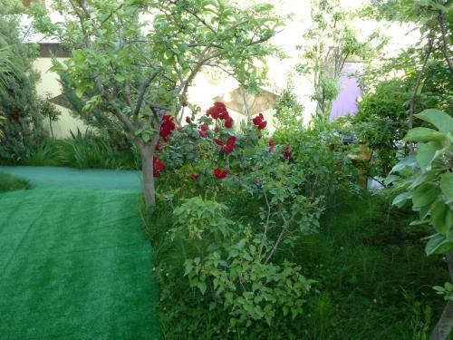 Hostal Guest House Dolce Vita