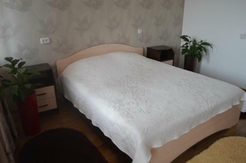 Posada Mini-hotel Graal