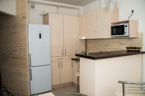 Apartment Solnechnyj Gorod