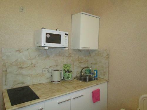 Apartment Na Kurortnyi Prospekt