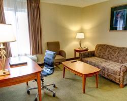 Hotel Comfort Inn And Suites