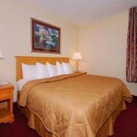 Hotel Comfort Inn And Suites