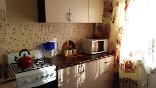 Apartments Radishcheva 25