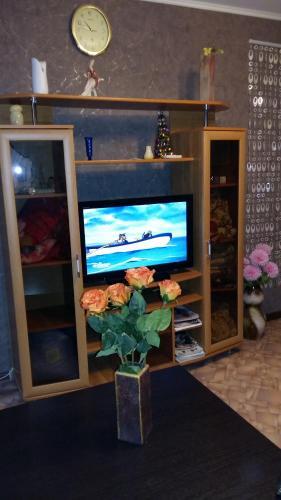 Apartments Radishcheva 25