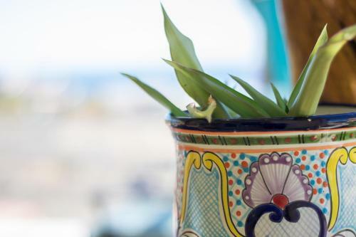 Hostal Casa Flores Casitas