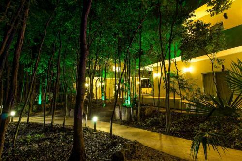Apartamento Condo Hotel El Vivero Tulum