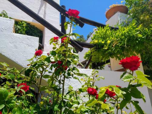 Agroturismo Algaba De Ronda