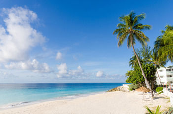 Hotel Bougainvillea Beach Resort