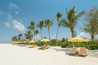 Hotel Dhigufaru Island Resort