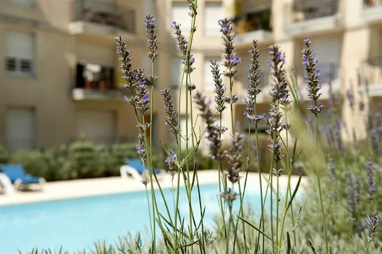 Aparthotel Adagio Access Bordeaux Rodesse