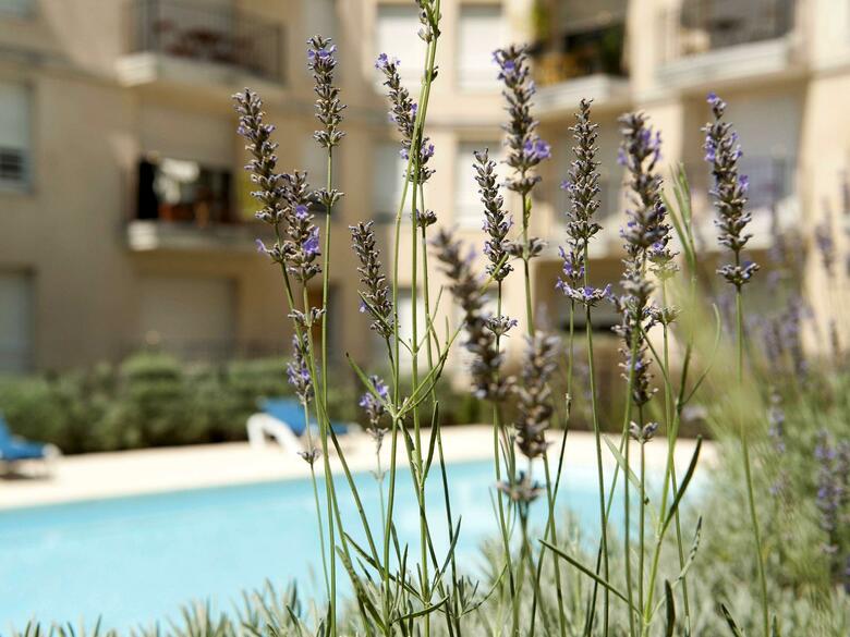 Aparthotel Adagio Access Bordeaux Rodesse
