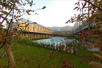 Hotel Lamosa