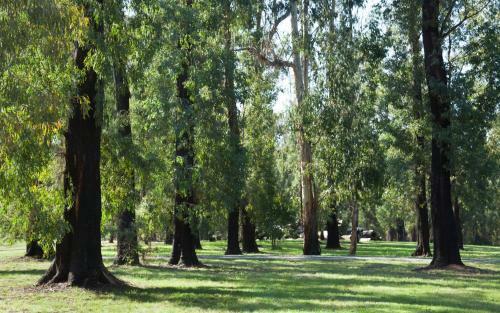 Bed & Breakfast Saladin Lodge