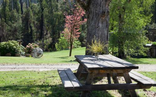 Bed & Breakfast Saladin Lodge