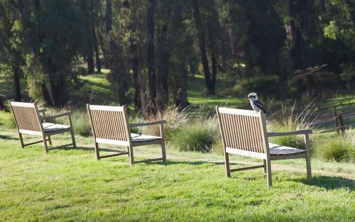 Bed & Breakfast Saladin Lodge