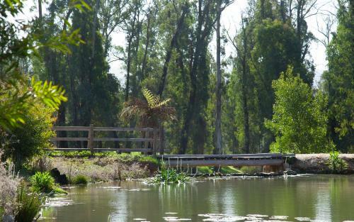 Bed & Breakfast Saladin Lodge