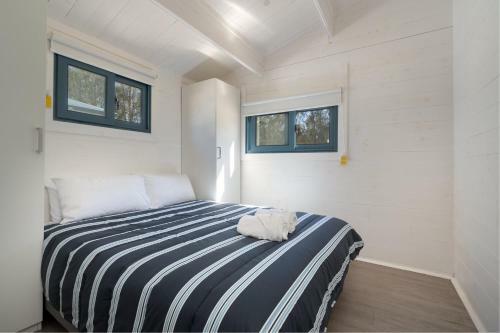 Big4 Tasman Holiday Parks - Racecourse Beach