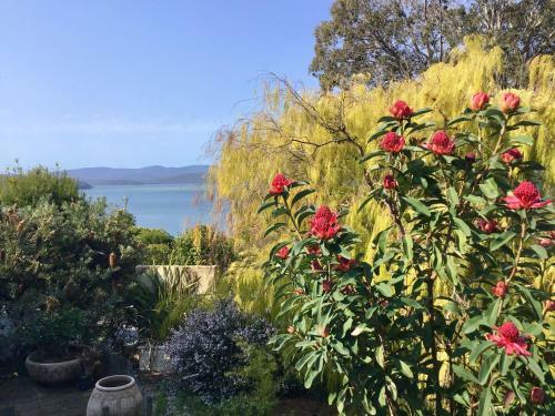 Villa Blue Waters Holiday Cottages