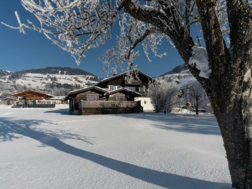 Traditional Holiday Home With Sauna In Niedernsill