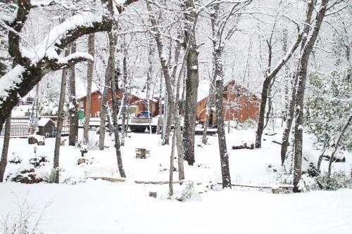 Hotel Y Caba�as Borde Andino