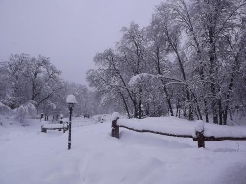 Hotel Y Caba�as Borde Andino