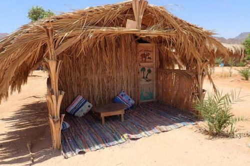 Bedouin Star (ras Shetan Area)